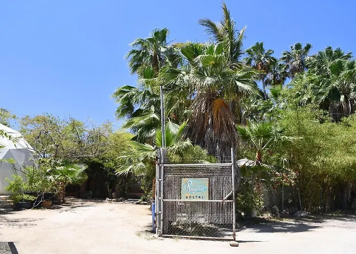 La Playita